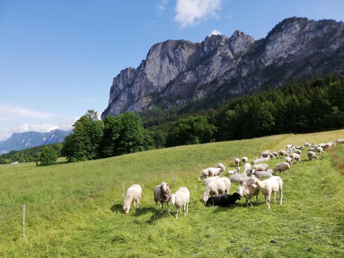 Am Mondseeblick Luaran gambar